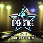 Open Stage Melodies - Vol 12 - Amit AB Song Download